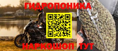эйфоретик Краснокаменск