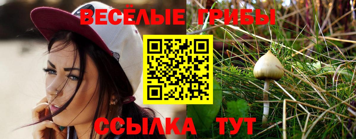 как найти   Вход с VPN  Нарьян-Мар  Псилоцибиновые грибы мухоморы  Галлюциногенные грибы мухоморы 