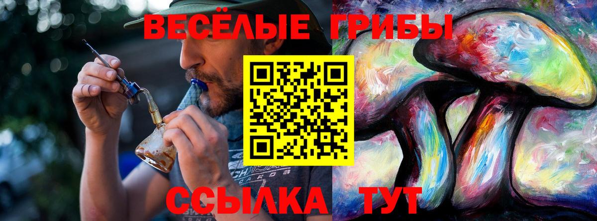 Псилоцибиновые грибы мухоморы Нарьян-Мар